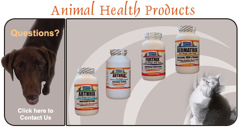 arthritis in dogs, skin problems,antioxidant,supplements for dogs, supplements for horses